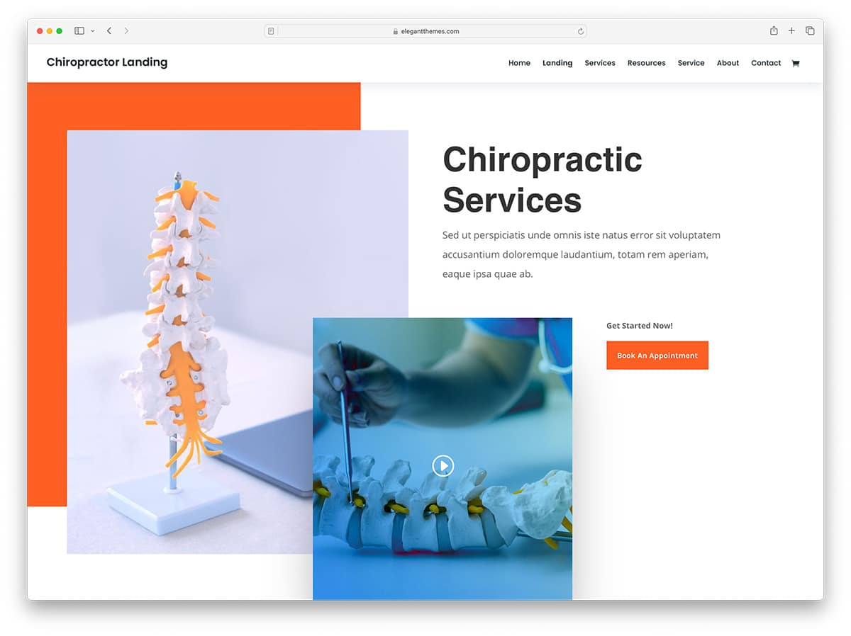 Divi - multipurpose WordPress theme for Chiropractors