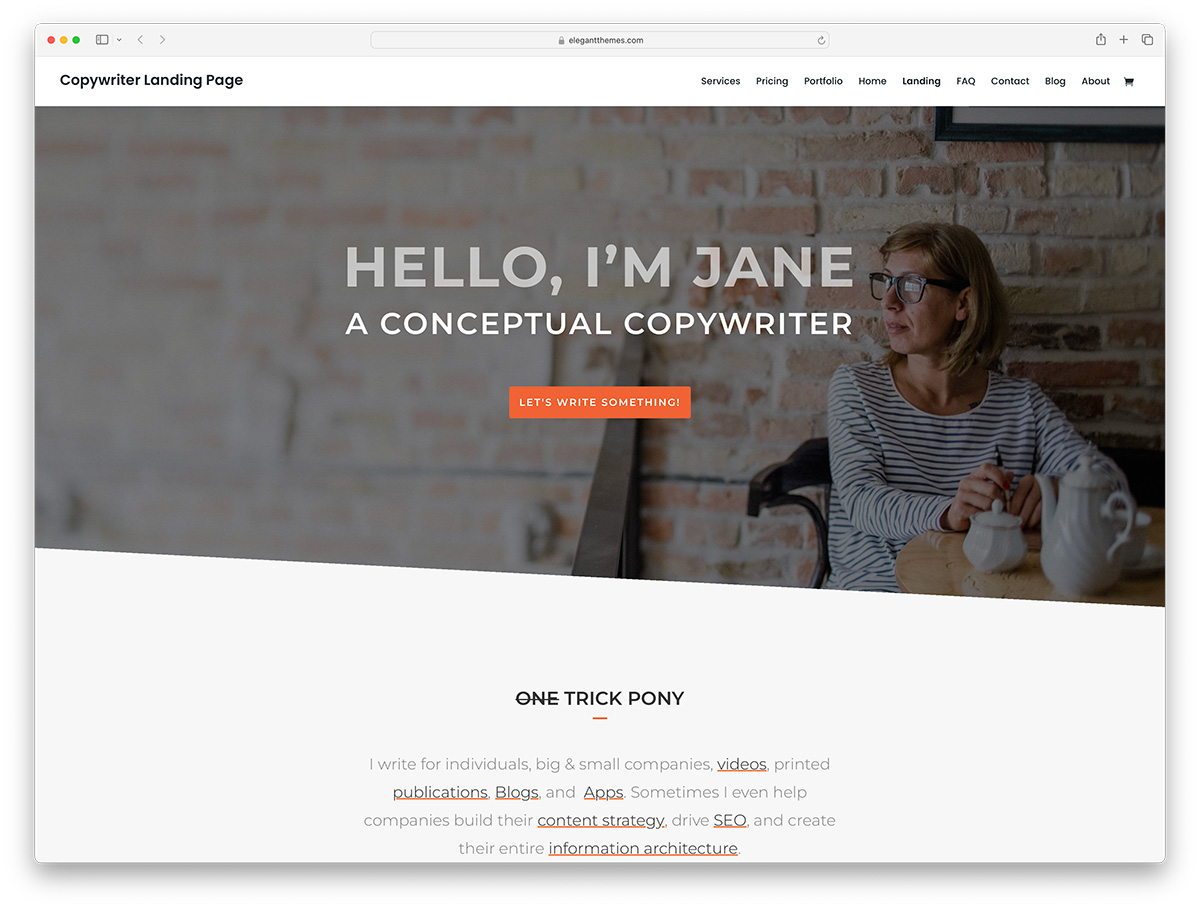 Divi - copywriter WordPress theme preview