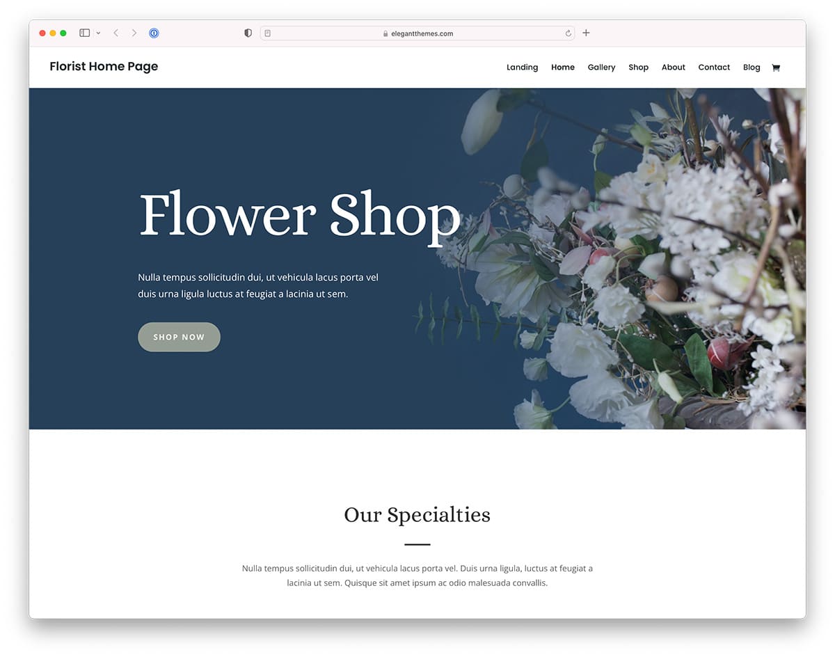15 Most Beautiful Flower Website Templates (in 2024) - Colorlib