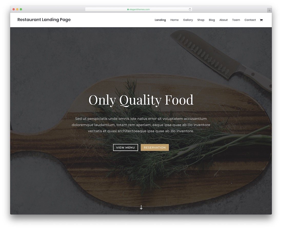 divi food website template