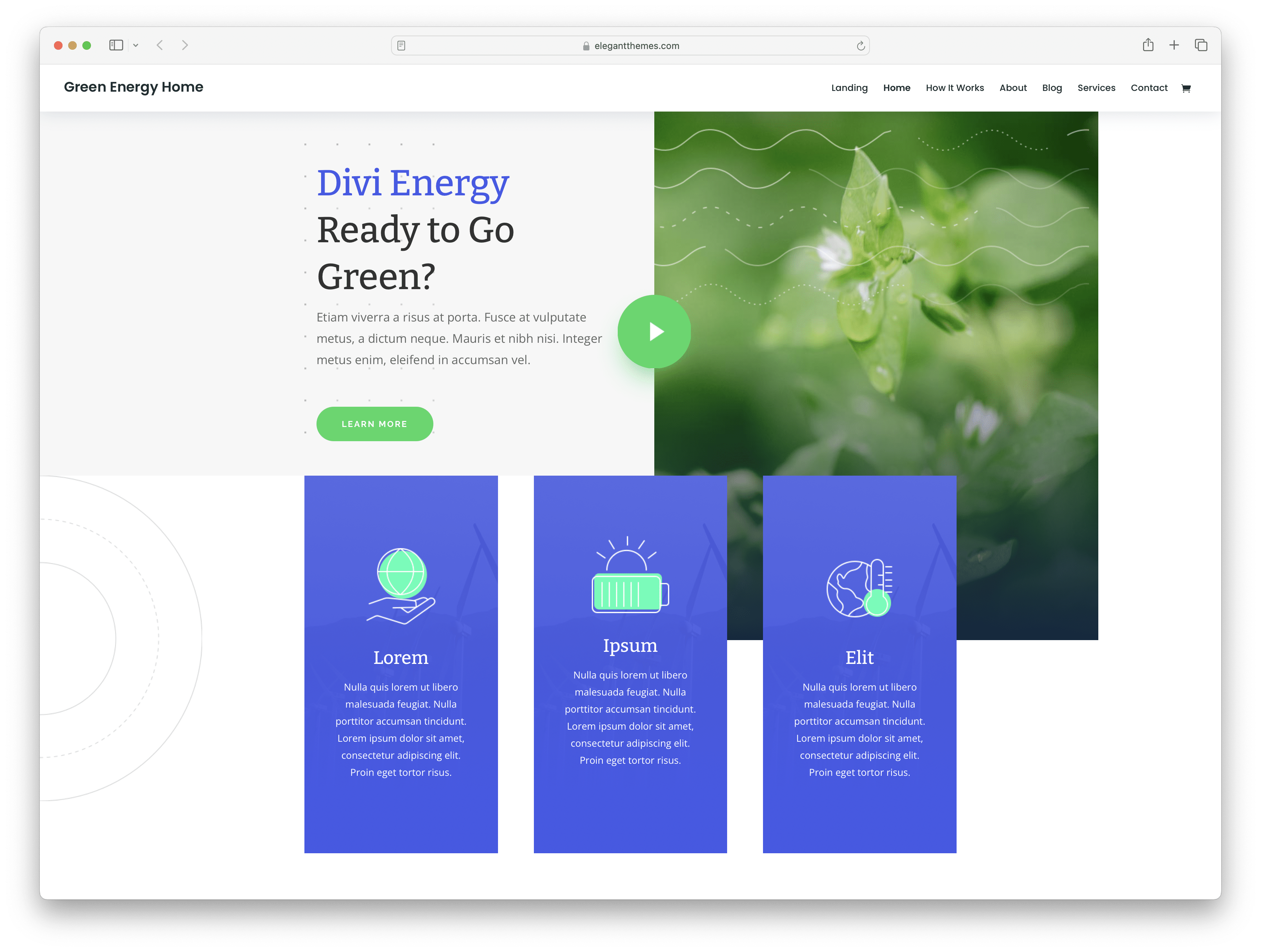 Divi - nature inspired green energy WordPress theme