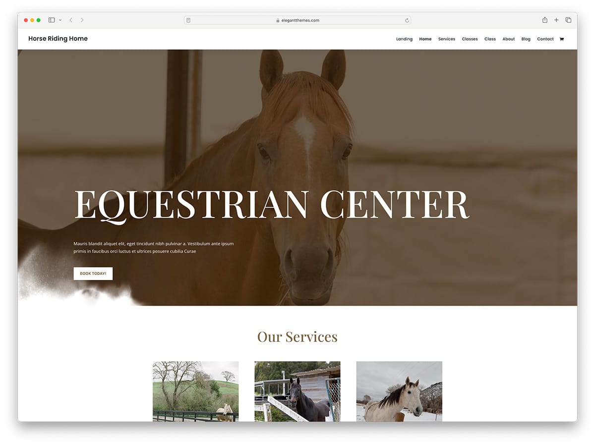 Divi - horse riding Equestrian WordPress theme