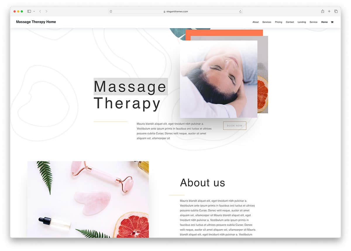 Divi - massage therapy WordPress theme