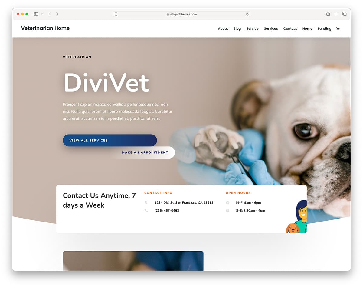 Divi - veterinary WordPress theme