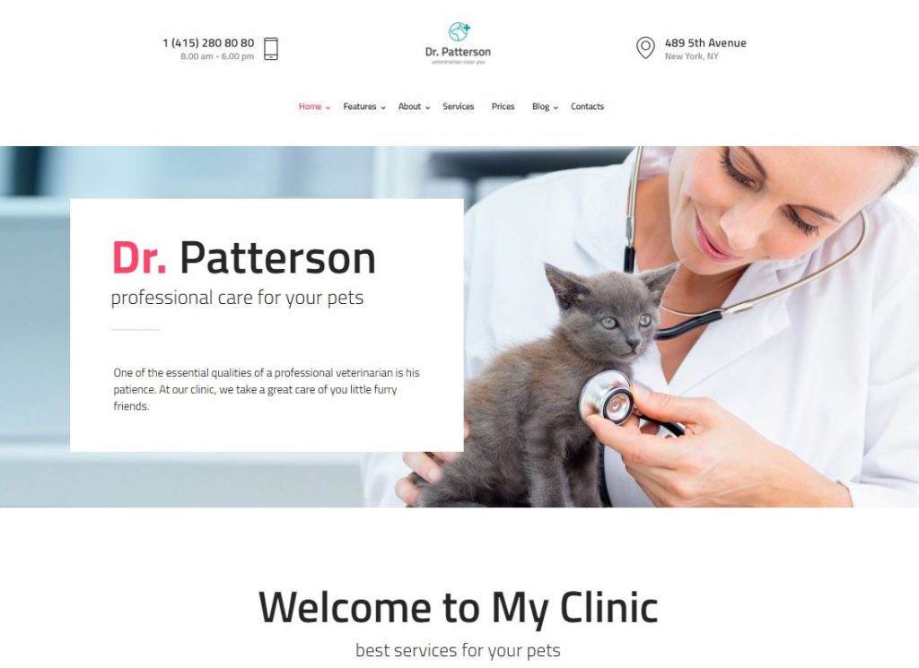 dr. patterson vet
