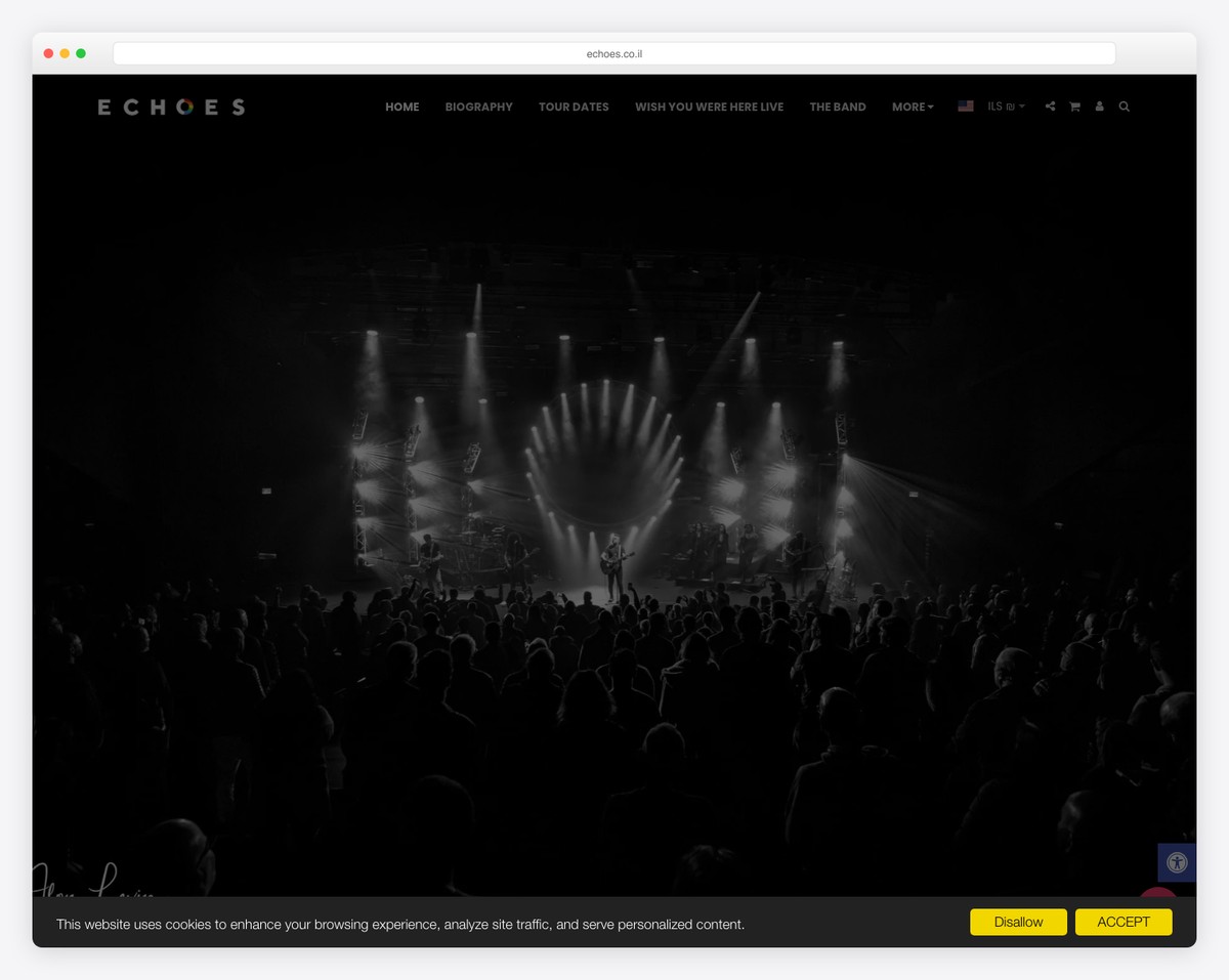 echoes pink floyd tribute site123 website example