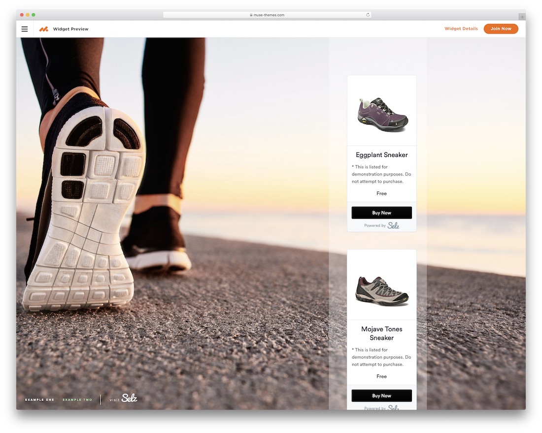 ecommerce free adobe muse template