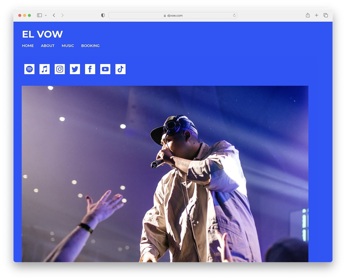 el vow singer website
