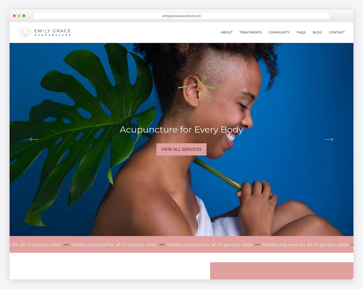 emily grace acupuncture website example