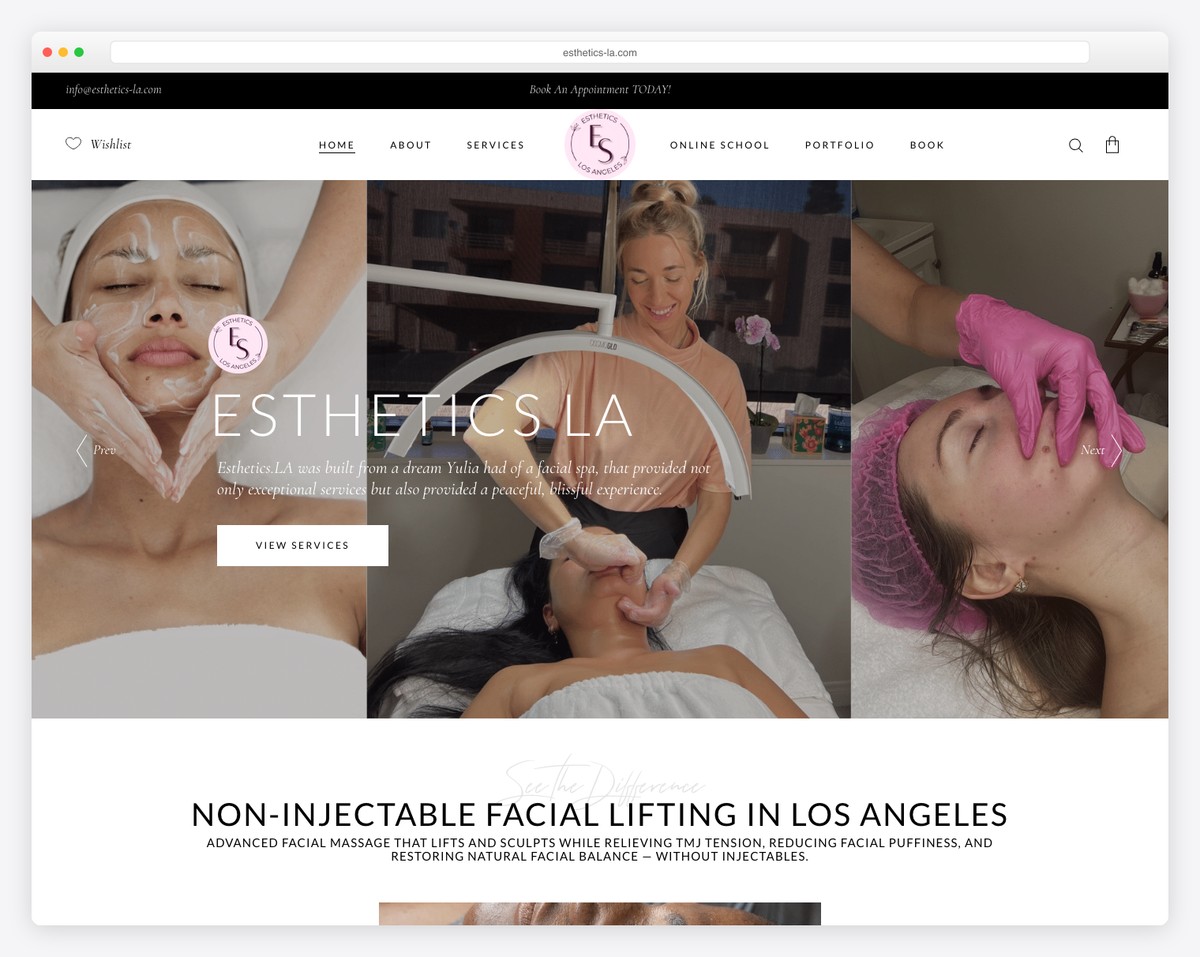 esthetics la website example