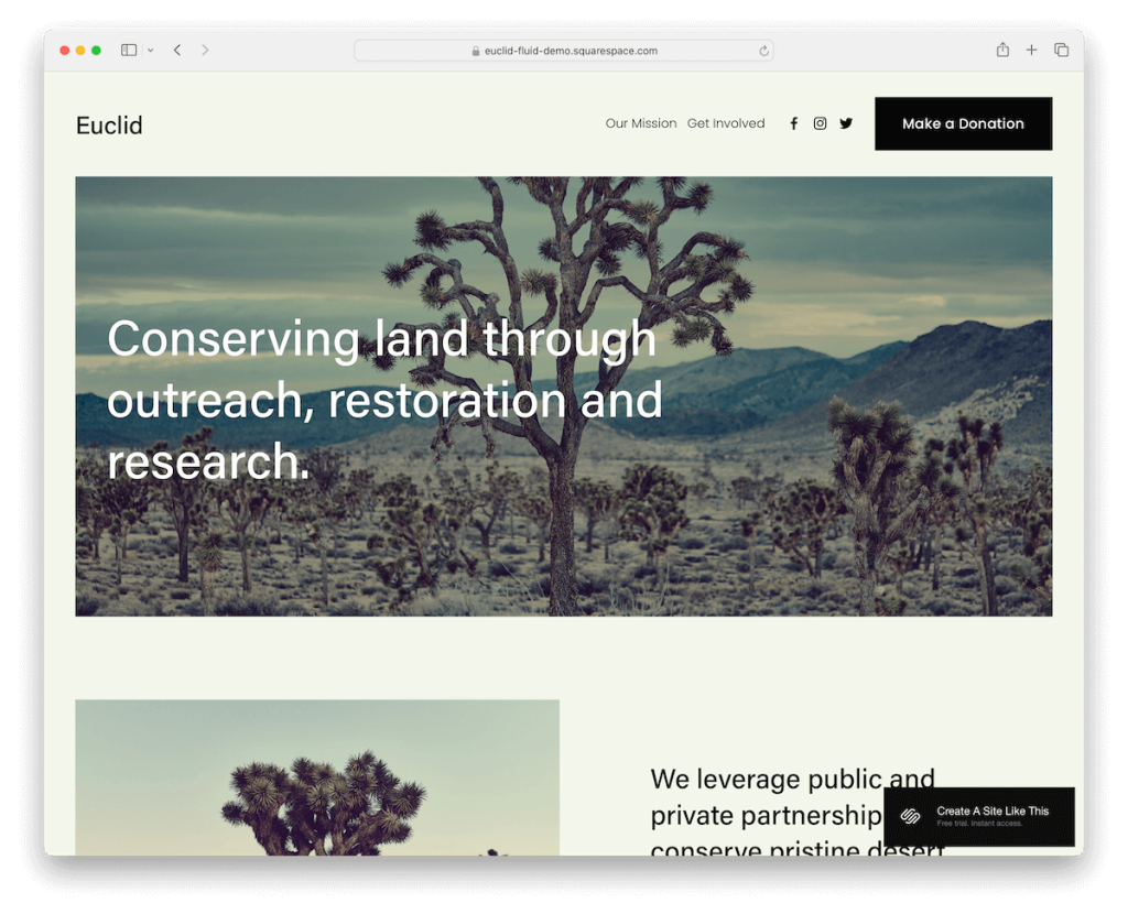 euclid squarespace template