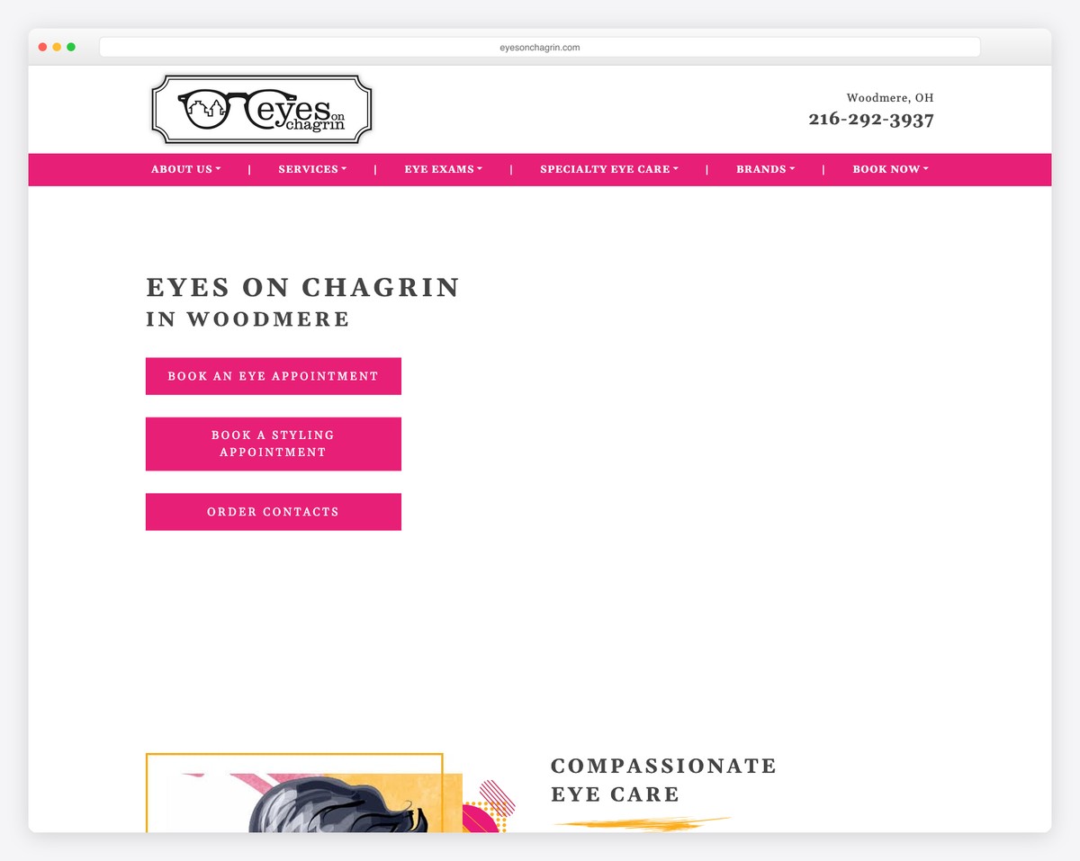 eyes on chagrin website example
