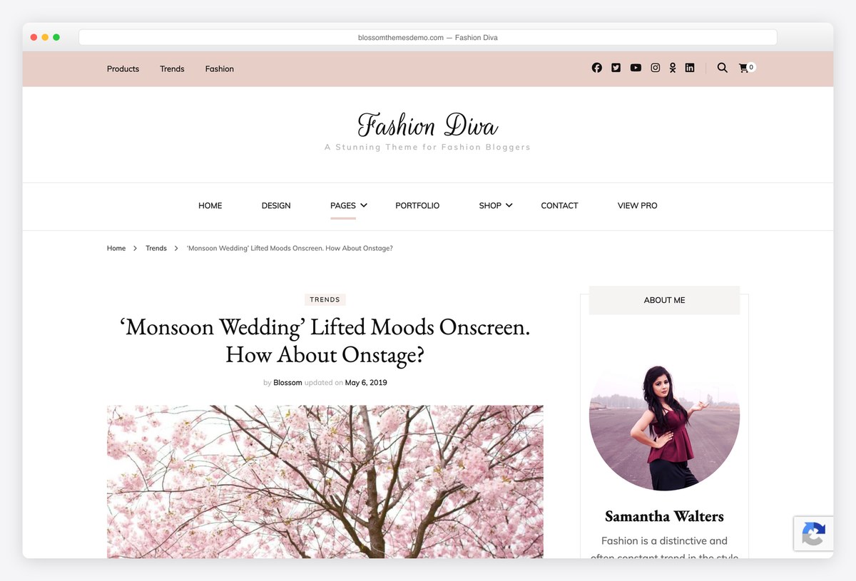 Fashion Diva free WordPress theme demo for fashion blogs