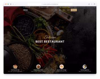 Feliciano website template