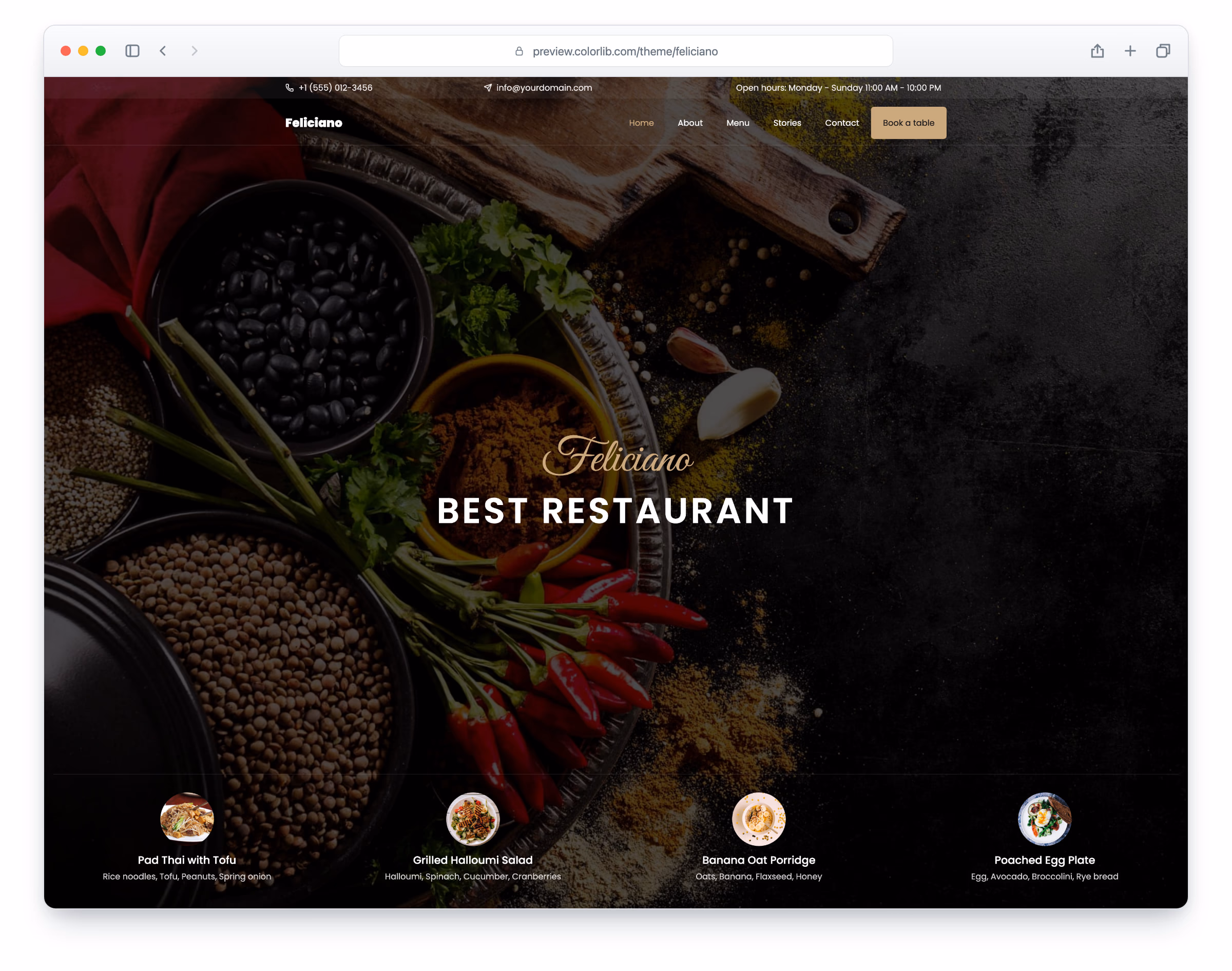 Feliciano website template