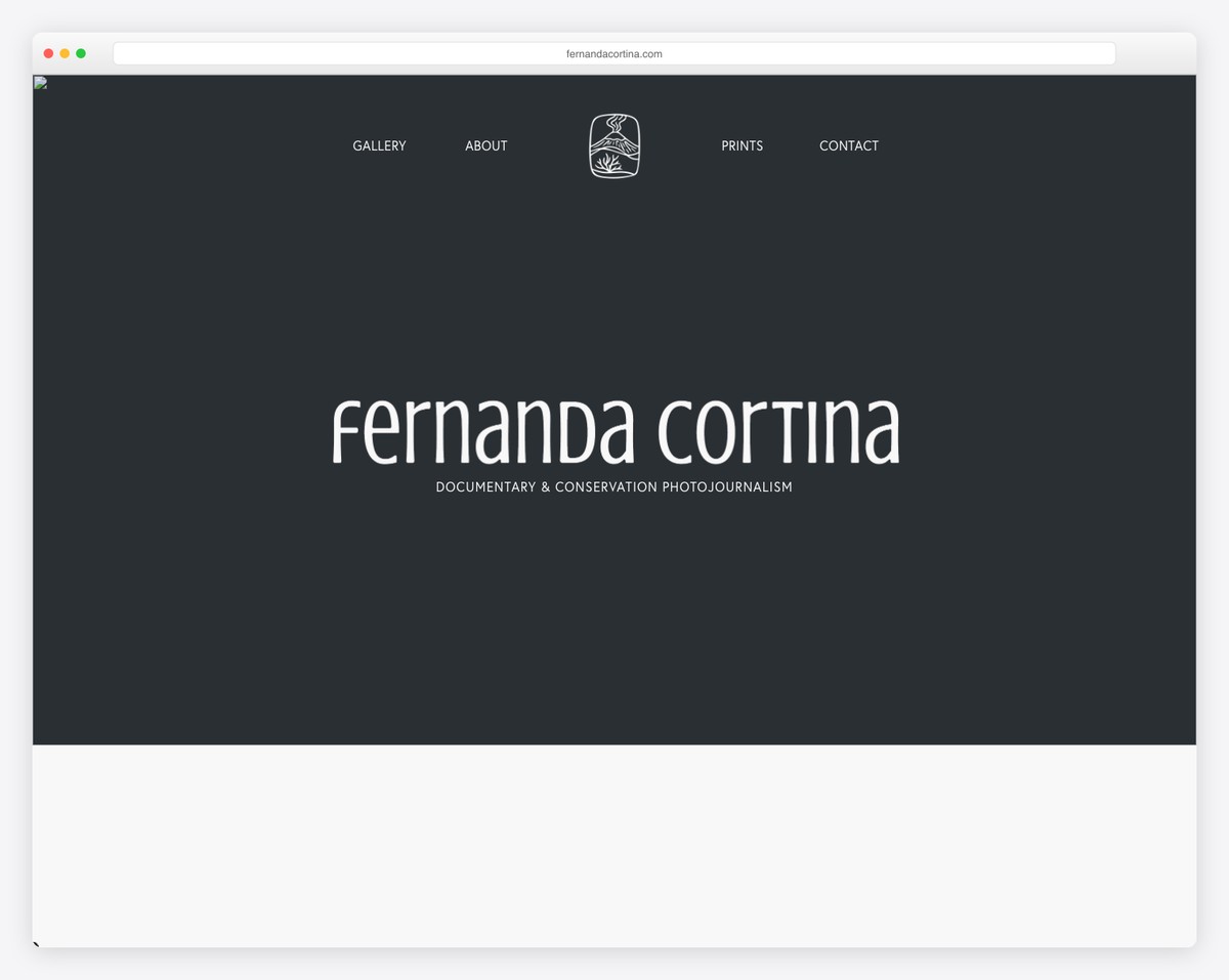 fernanda cortina artist portfolio website example