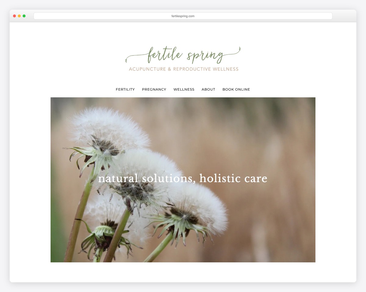 fertile spring acupuncture website example
