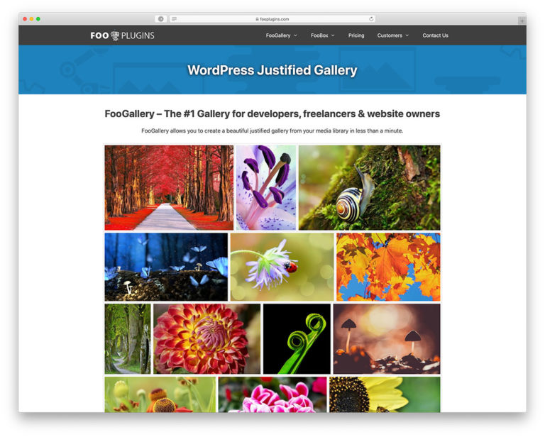 15 Best WordPress Gallery Plugins for Free 2026 - Colorlib