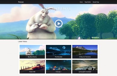 free WordPress video themes