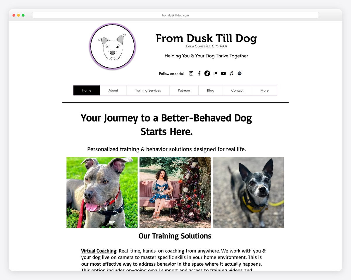 from dusk till dog teacher website