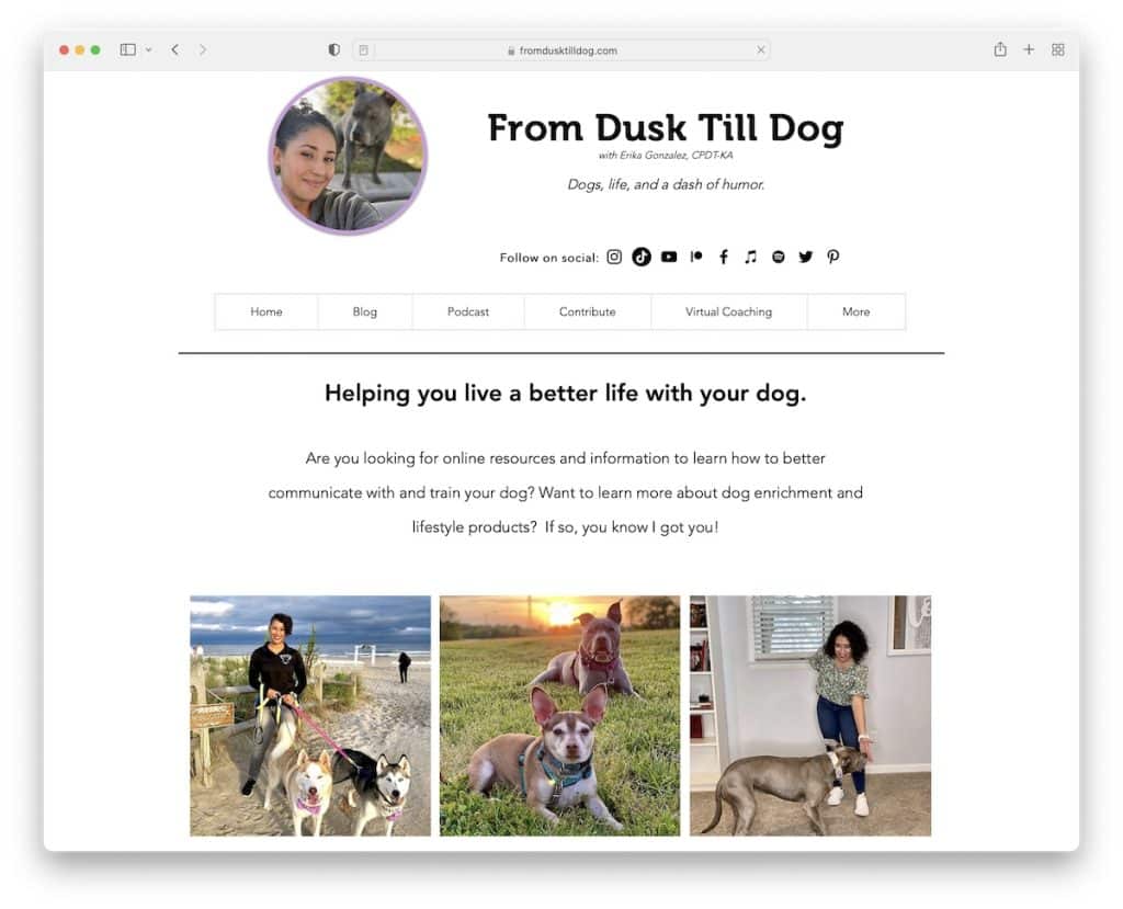 from dusk till dog teacher website