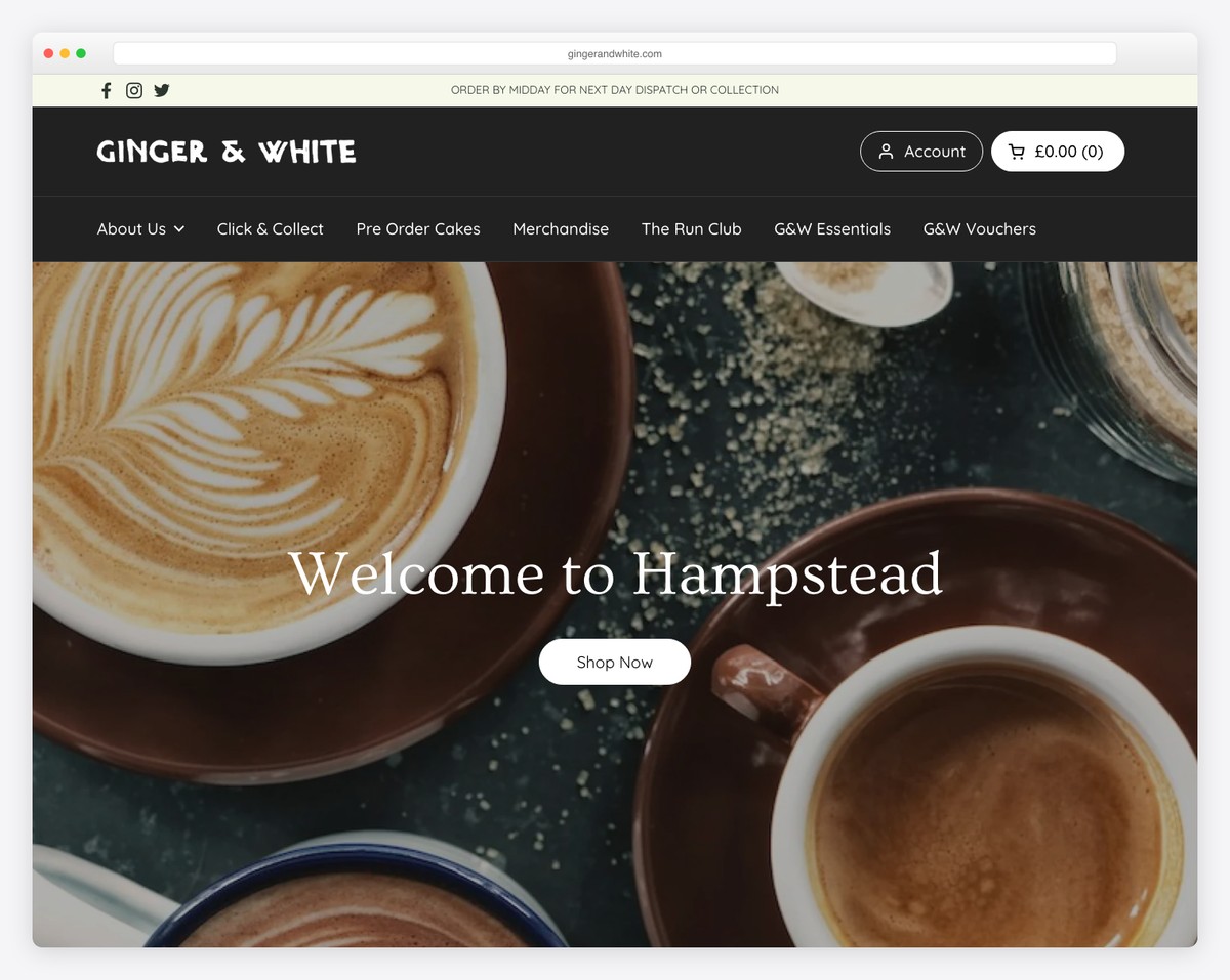 ginger & white website example