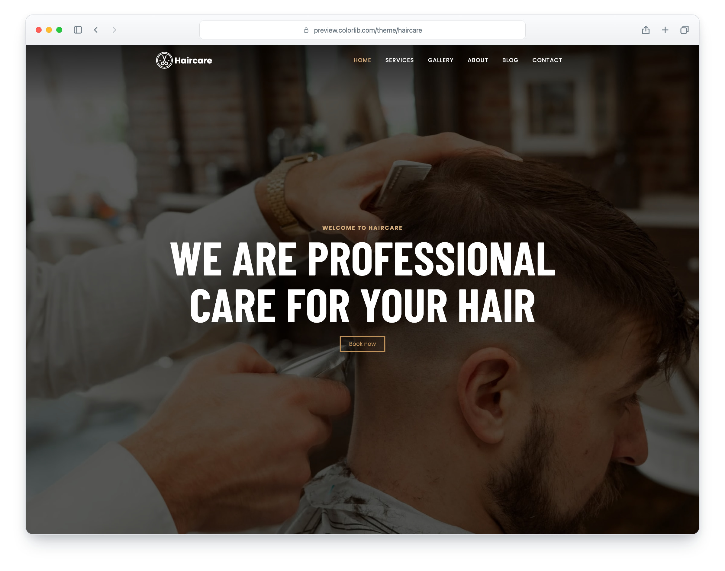 Haircare website template