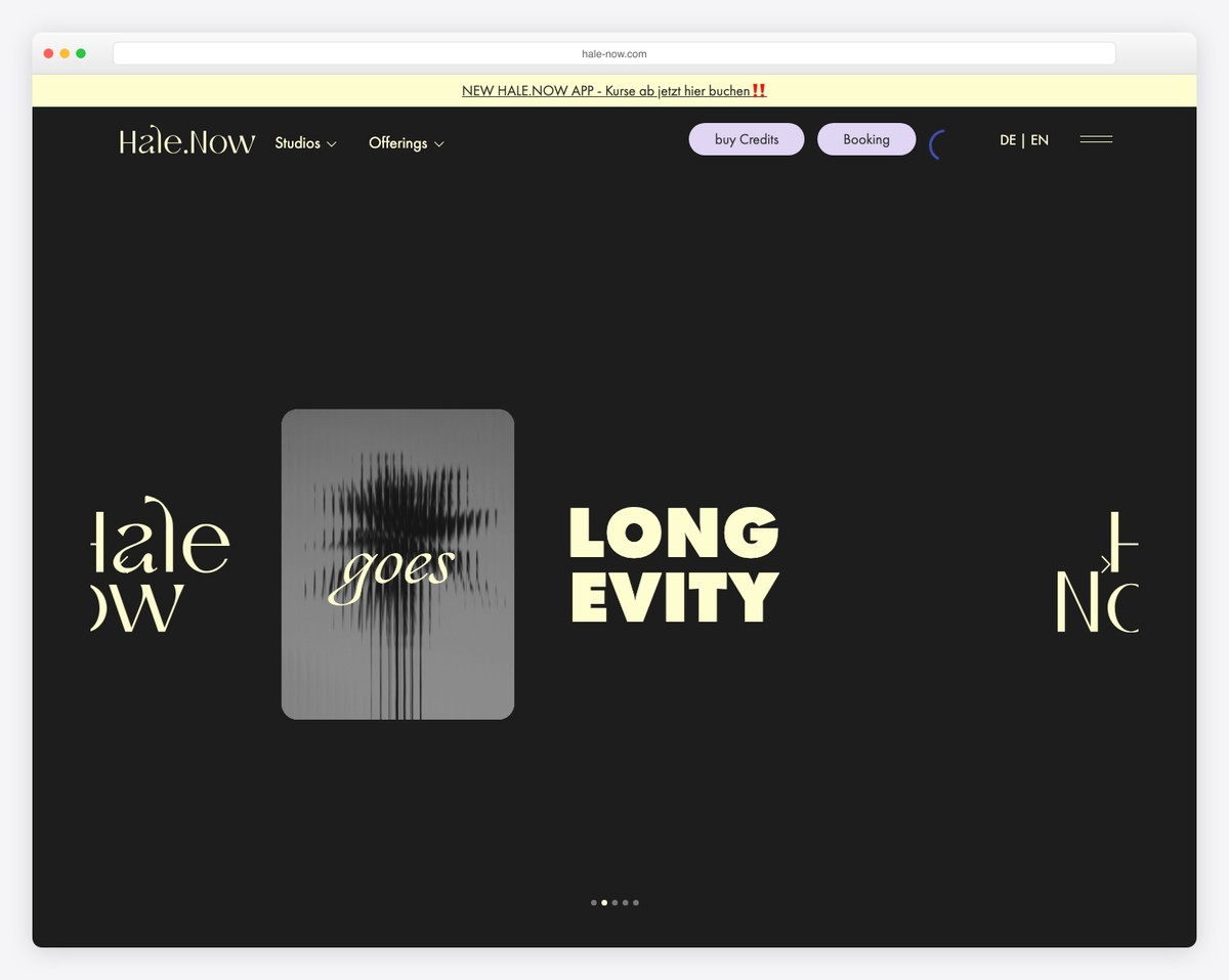 hale now studios berlin website