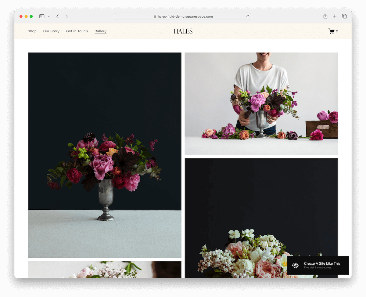 hales squarespace portfolio template