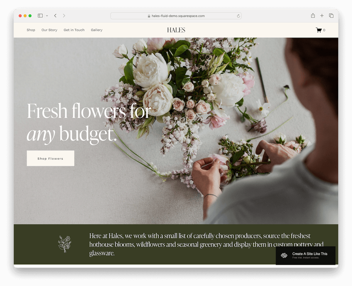 hales - floral website template for Squarespace