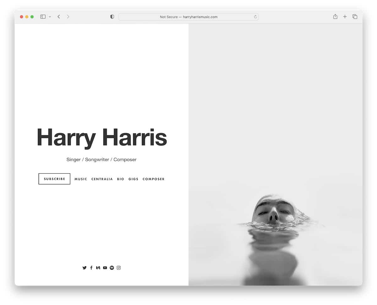 harry harris singer website