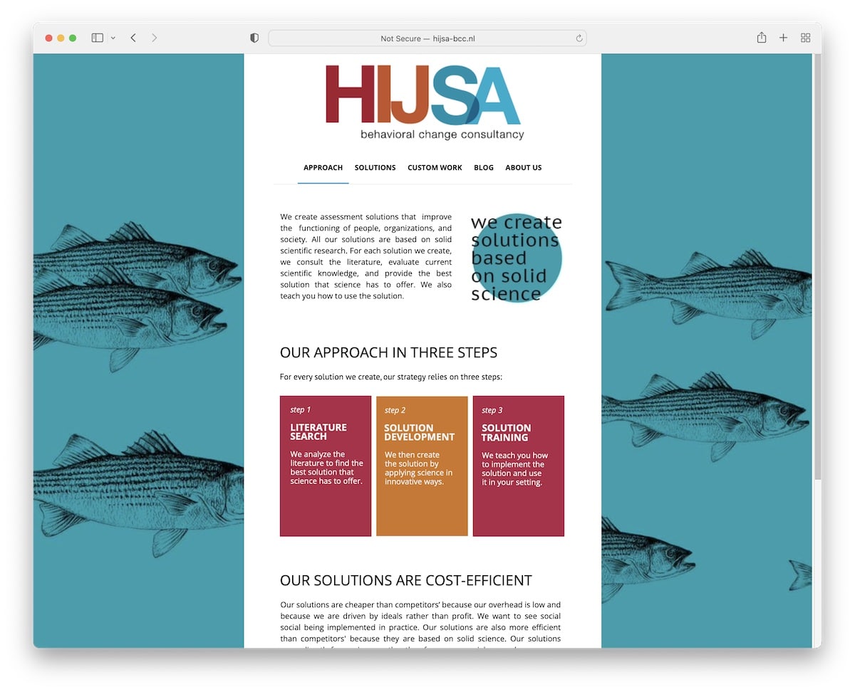 hijsa google site example