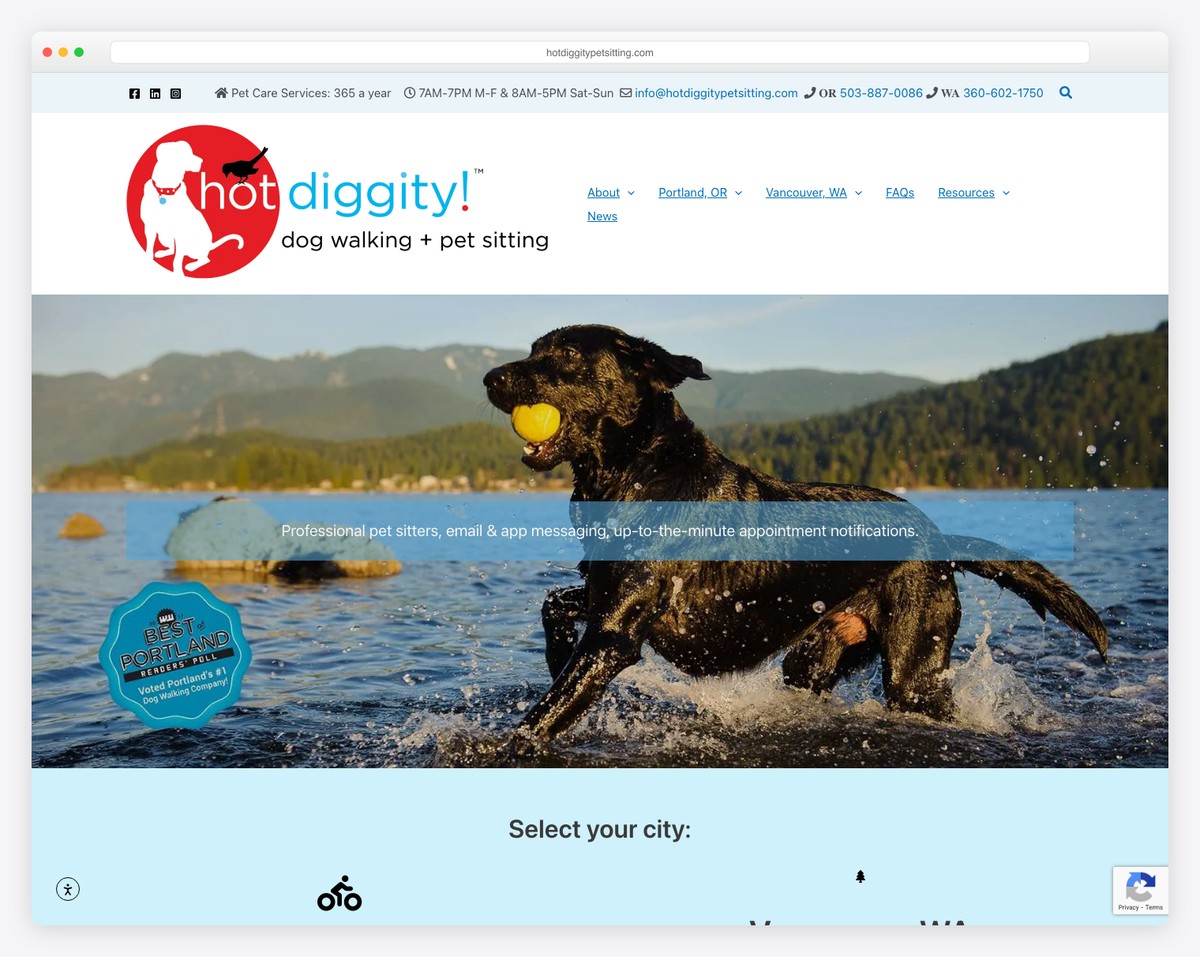 hot diggity! dog walking + pet sitting website example