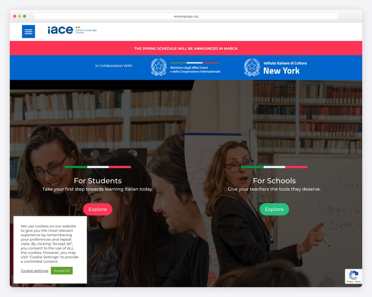 iace website example