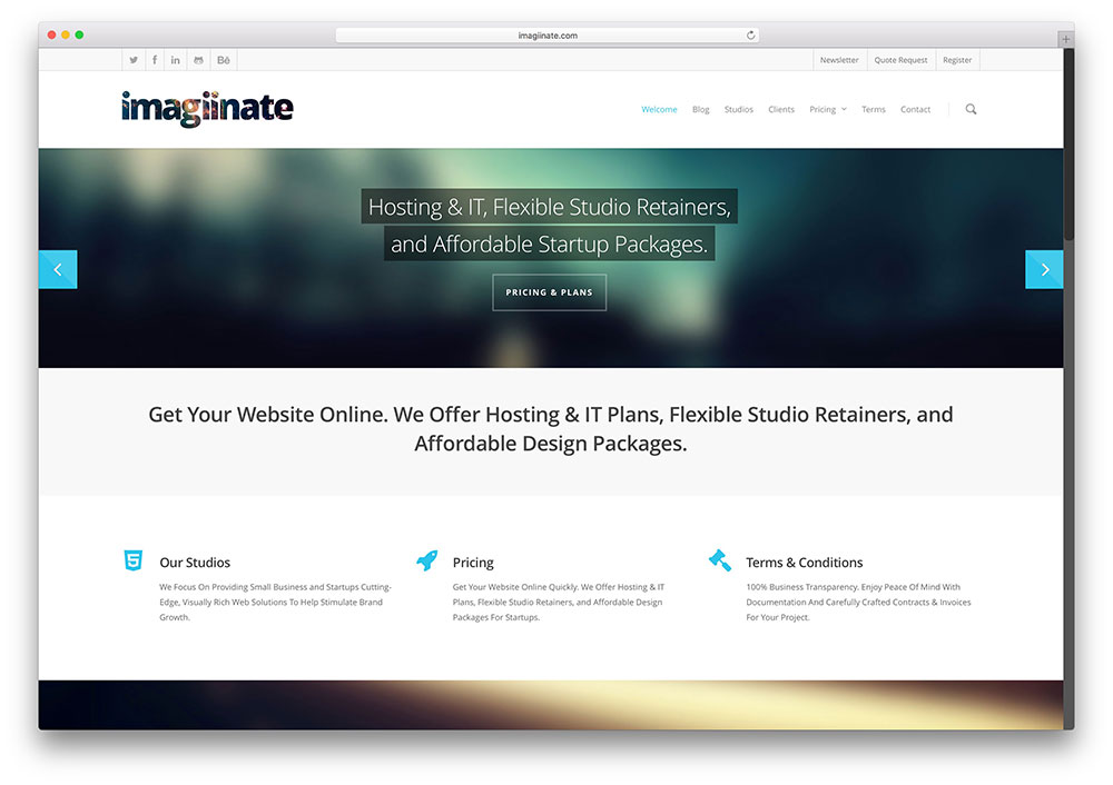 imagiinate-it-service-website-with-salient