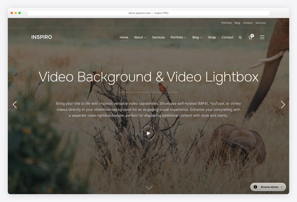 Inspiro PRO photography and portfolio WordPress theme demo