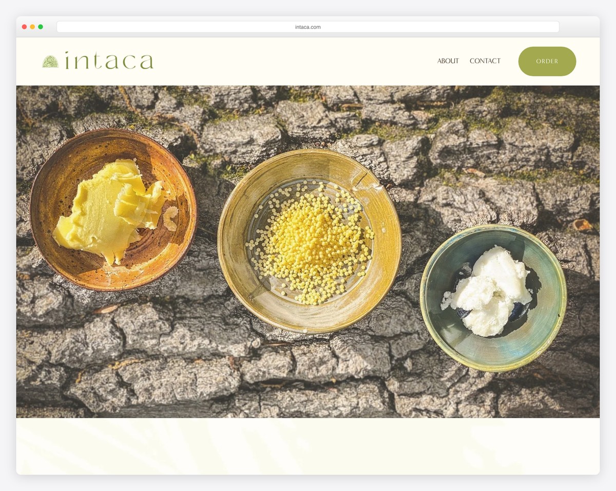intaca website example