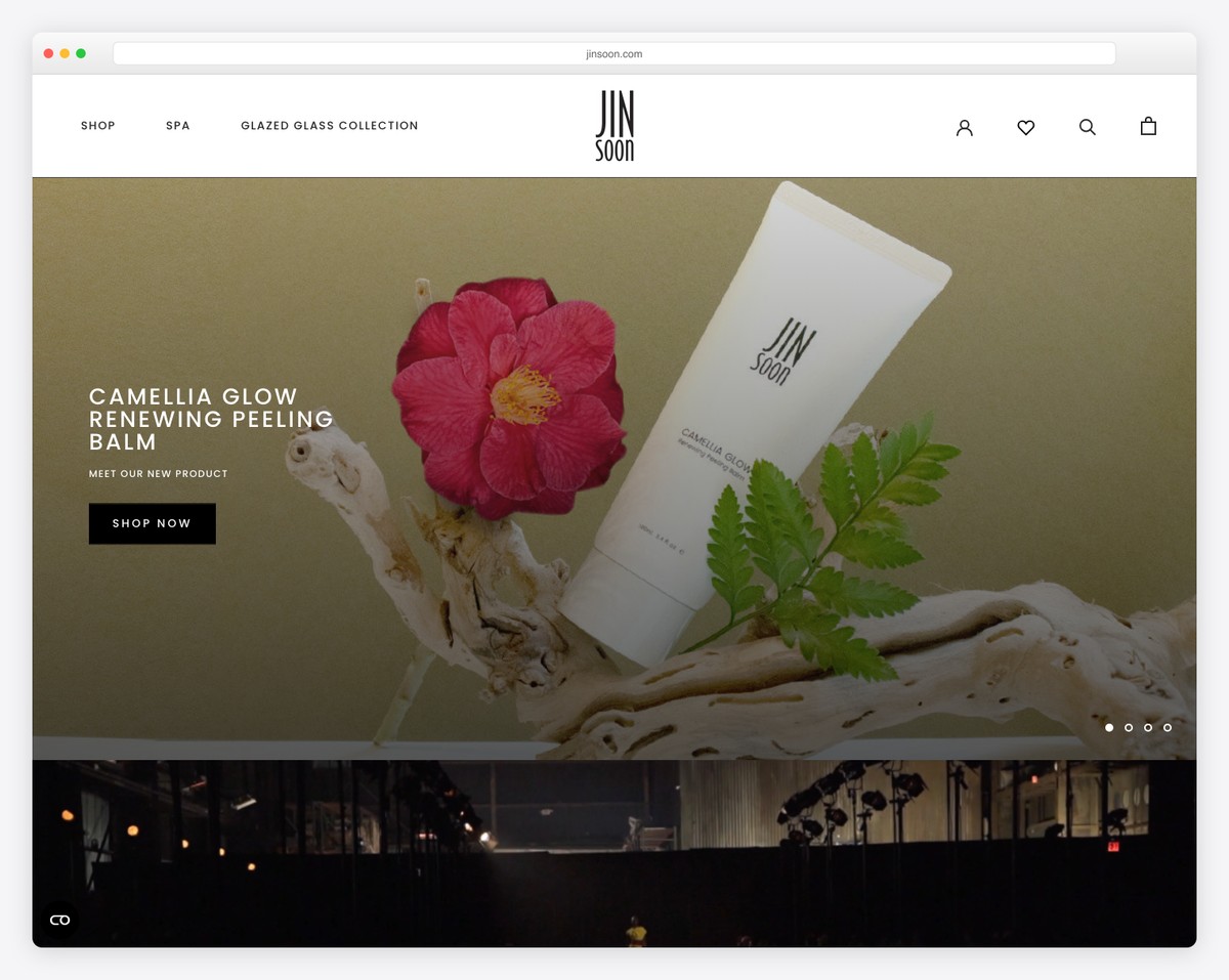 jinsoon website example