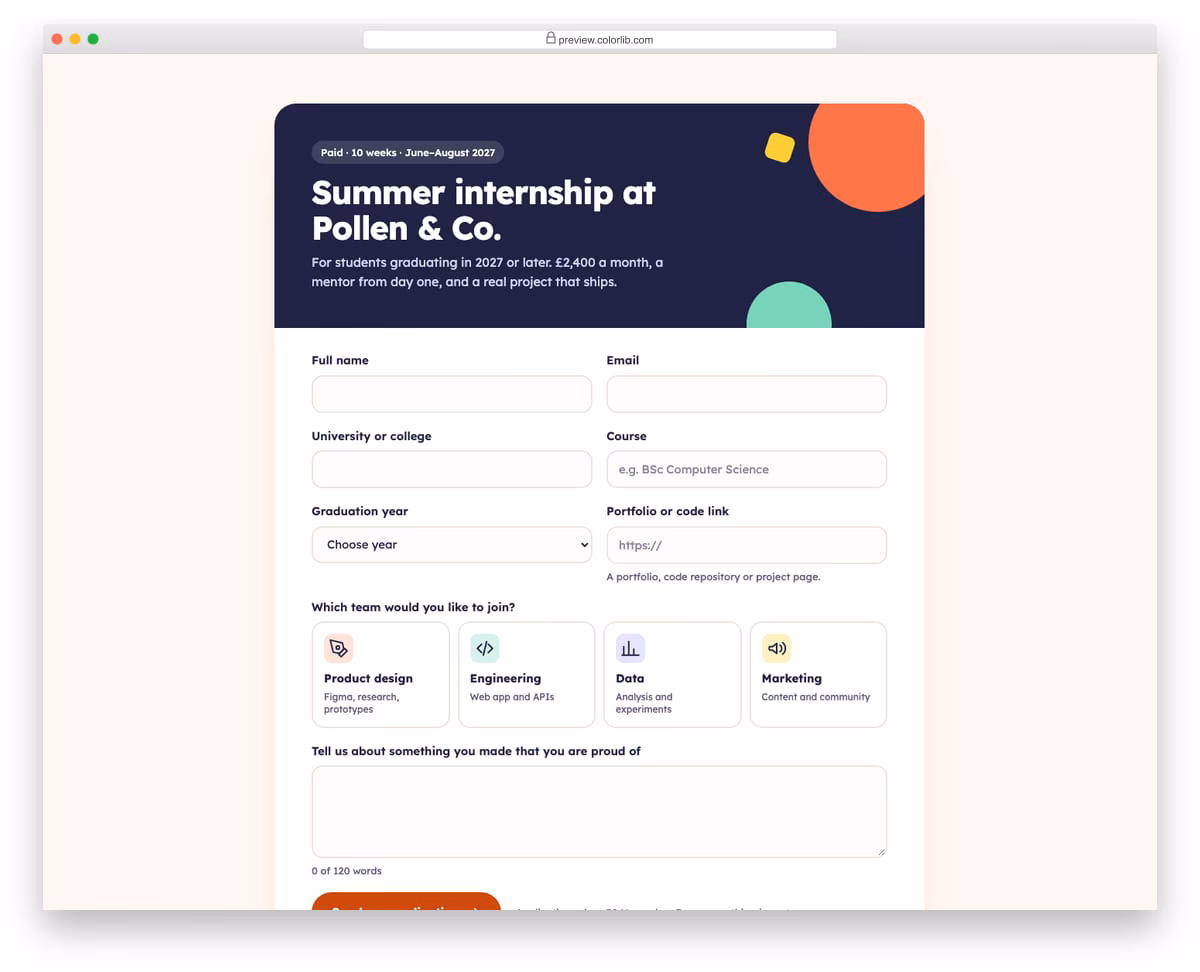 Job Application Form V05: student internship application with university, graduation year and portfolio link