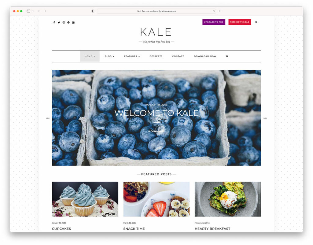 kale - free WordPress blog theme
