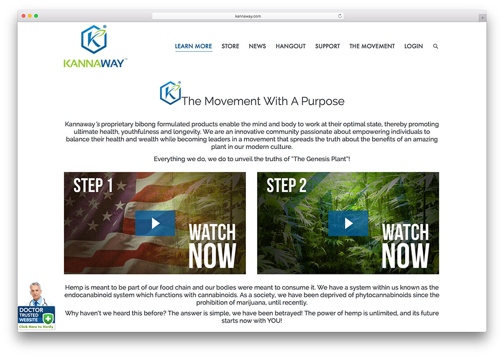 kannaway-business-consultation-site-example