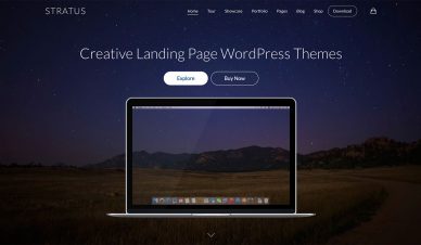 landing page WordPress themes