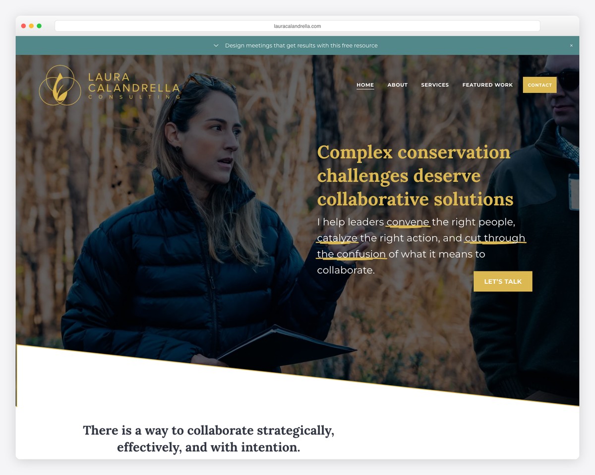 Laura Calandrella conservation consulting Squarespace website