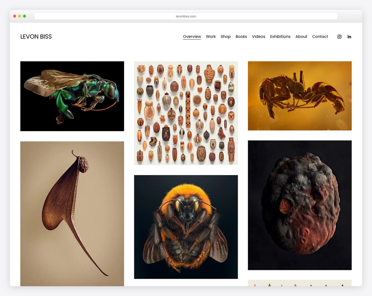 levon biss website example