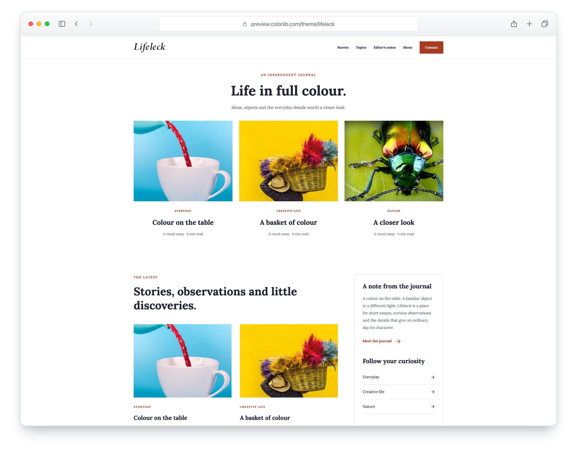 Lifeleck website template