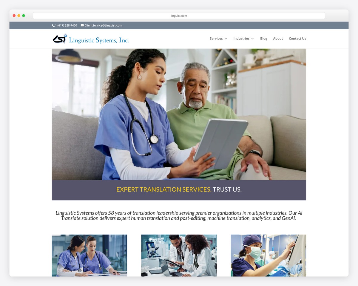 linguistic systems website example