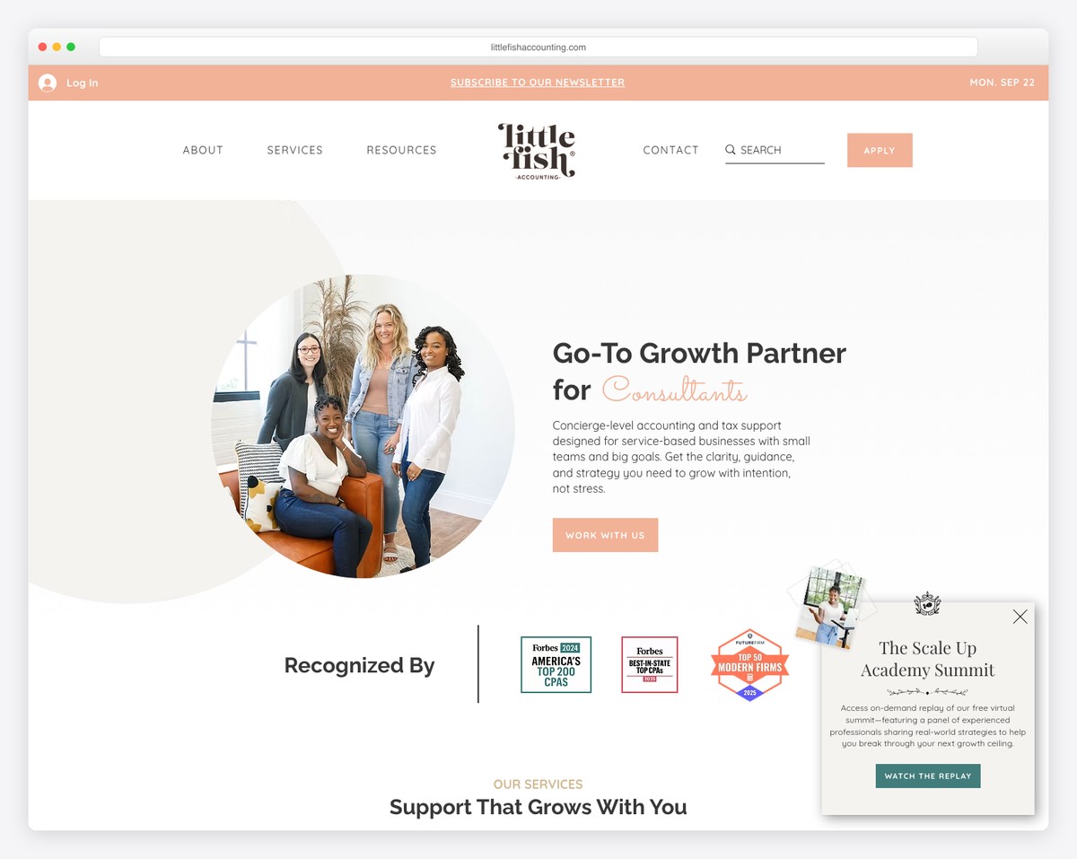 little fish accounting website example