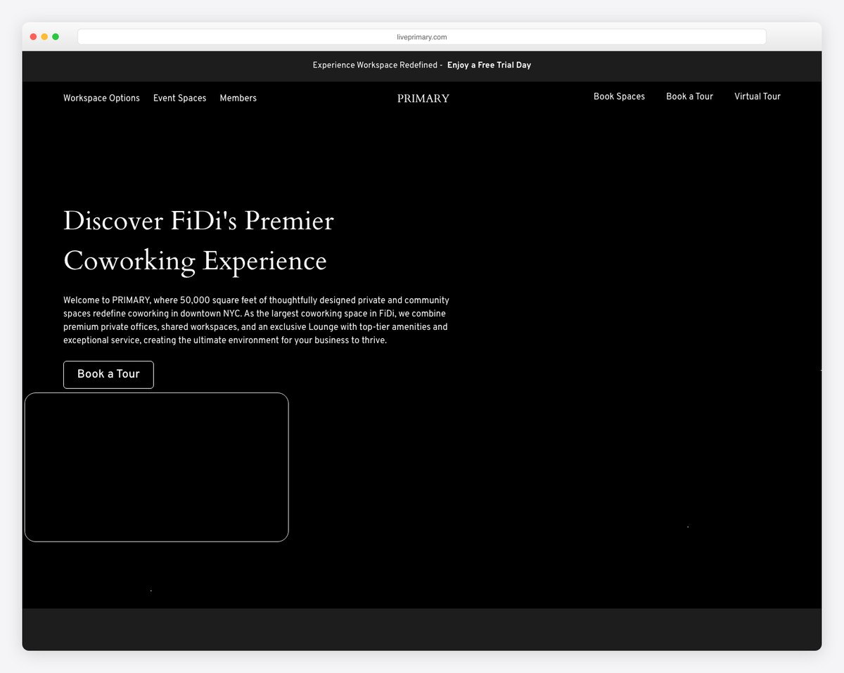 primary website example