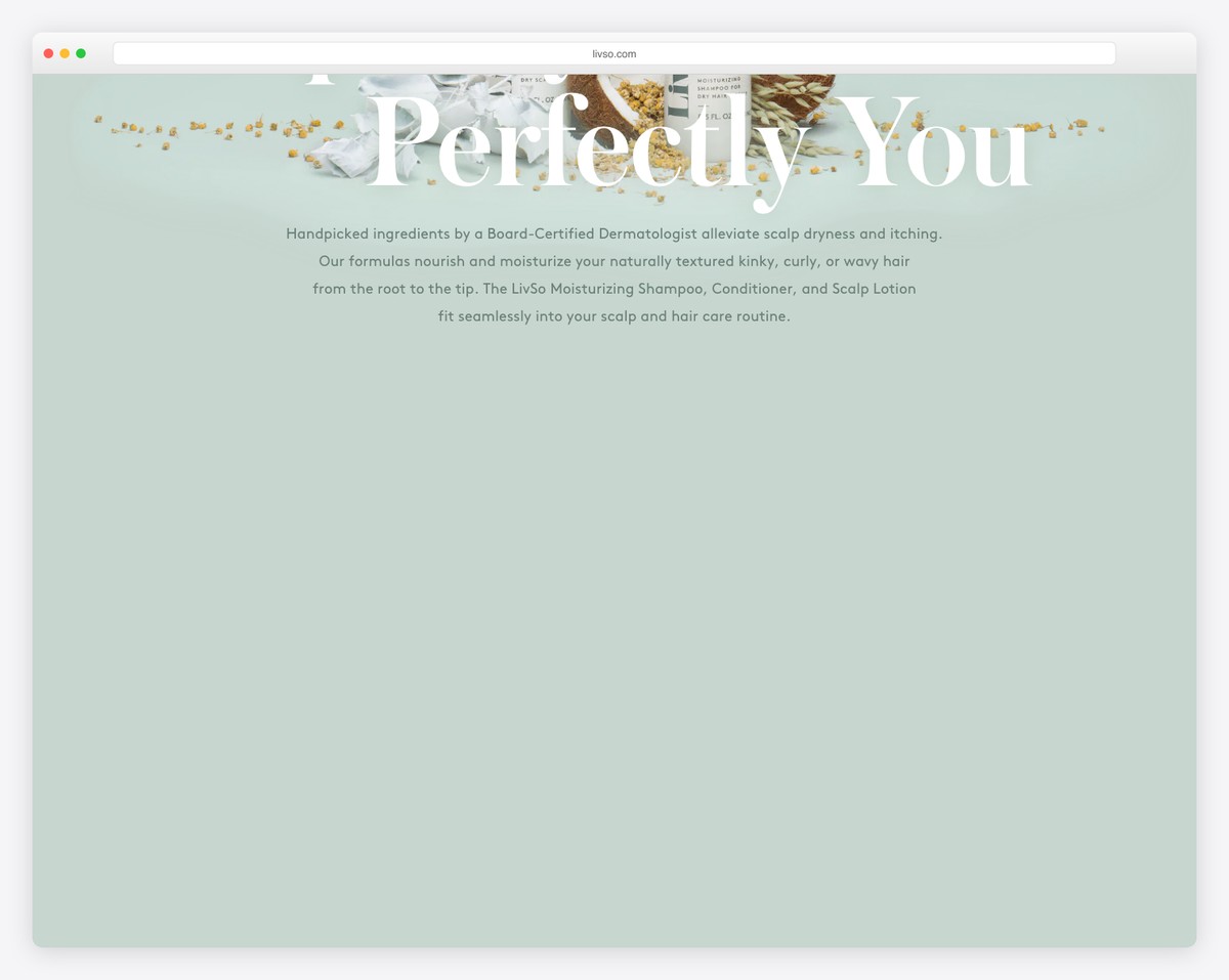LivSo website footer with product information and contact details