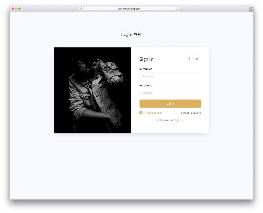 Login Form V14 - Free Split-Screen Sign In Form Template 2026 - Colorlib